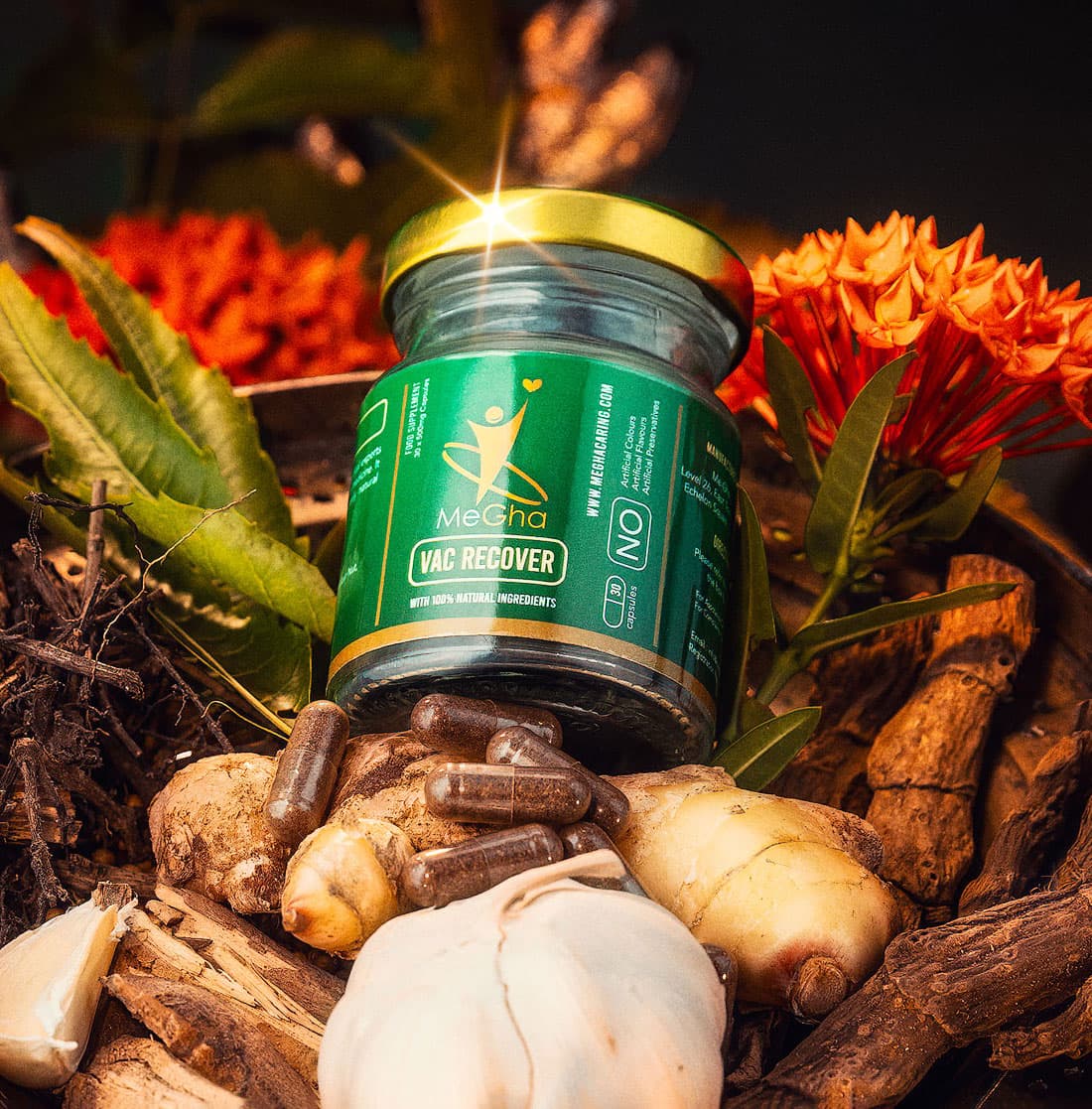 Megha Vac Recover